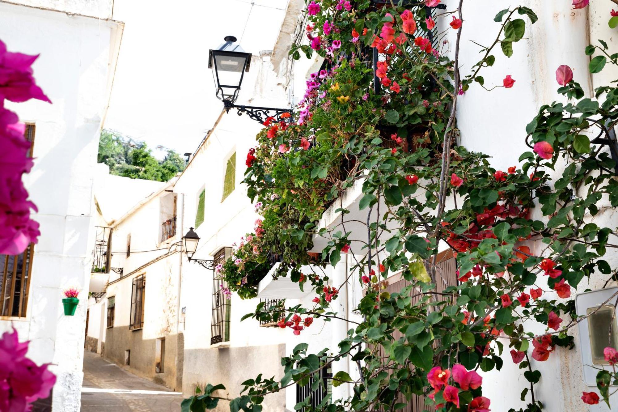 Alpujarra Relax Carataunas Exterior photo